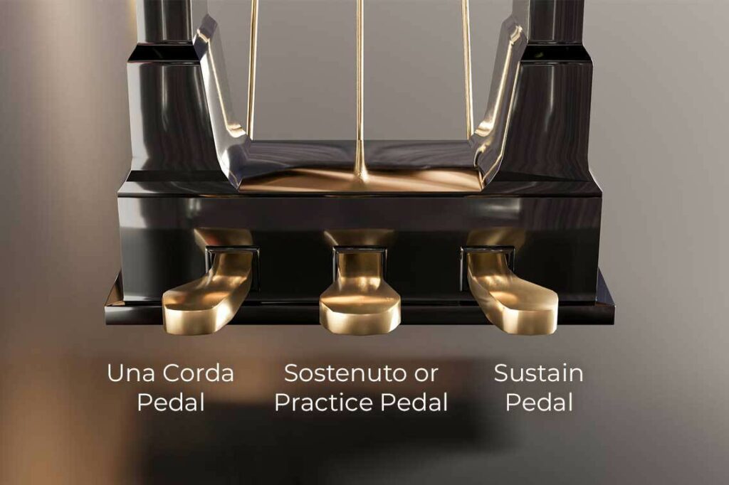 Understanding The Sostenuto Pedal: Tips To Improve Piano Pedalling –  Millers Music